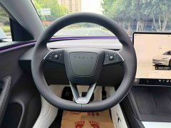 Tesla Model 3 Rear-Wheel Drive - ფოტო 14