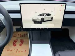 Tesla Model 3 Rear-Wheel Drive - ფოტო 16