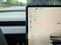 Tesla Model 3 Rear-Wheel Drive - ფოტო 17