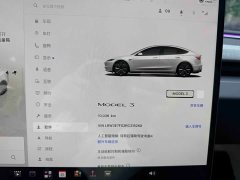 Tesla Model 3 Rear-Wheel Drive - ფოტო 18