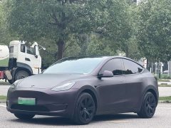 Tesla Model Y Long Range All-Wheel Drive - ფოტო 1