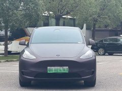 Tesla Model Y Long Range All-Wheel Drive - ფოტო 2