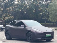 Tesla Model Y Long Range All-Wheel Drive - ფოტო 3
