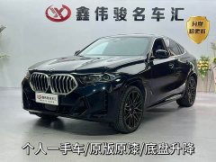 BMW X6 xDrive40i M Sport Package - фото 1