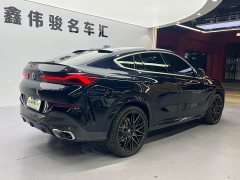 BMW X6 xDrive40i M Sport Package - фото 16