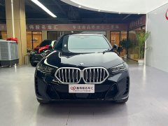 BMW X6 xDrive40i M Sport Package - фото 3