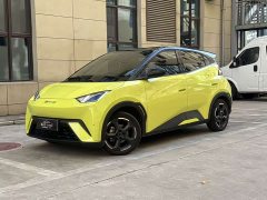 BYD Seagull Freedom Edition - ფოტო 1