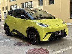 BYD Seagull Freedom Edition - ფოტო 4