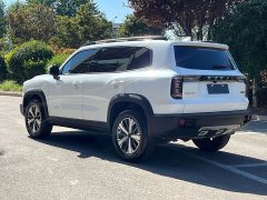 Great Wall Dachshund 1.5T DCT Two-Wheel Drive Labrador Edition - ფოტო 4