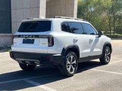 Great Wall Dachshund 1.5T DCT Two-Wheel Drive Labrador Edition - ფოტო 6