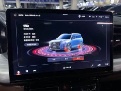 GAC Aion ES9 PHEV 143km Max - фото 17