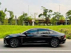 FAW Red Flag H6 2.0T Zhimei Edition - photo 3