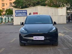 Tesla Model Y Rear-Wheel Drive - ფოტო 2