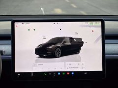 Tesla Model Y Rear-Wheel Drive - ფოტო 20