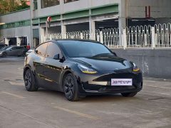 Tesla Model Y Rear-Wheel Drive - ფოტო 4