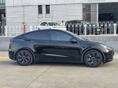 Tesla Model Y Rear-Wheel Drive - ფოტო 7
