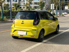 JAC 302km Fashion 31.4kWh - ფოტო 4
