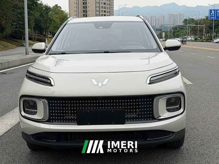 Wuling Xingyun 2.0L DHT Standard Edition