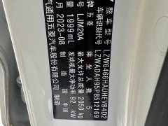 Wuling Xingyun 2.0L DHT Standard Edition - photo 15