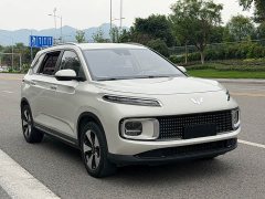 Wuling Xingyun 2.0L DHT Standard Edition - photo 2