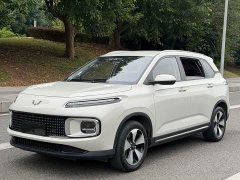 Wuling Xingyun 2.0L DHT Standard Edition - photo 3