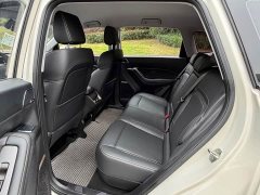 Wuling Xingyun 2.0L DHT Standard Edition - photo 9