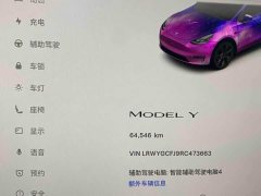 Tesla Model Y Rear-Wheel Drive - фото 10