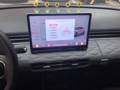 Dongfeng Nano 01 330 Plus Smart - ფოტო 13