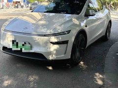 Tesla Model Y Long Range All-Wheel Drive - photo 1