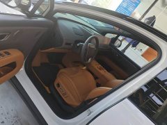 Li Auto i6 Two-Wheel Drive Standard - photo 5
