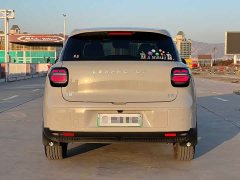Leapmotor A10 505 Pleasure Edition - фото 5