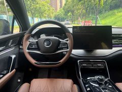 BYD Tang New Energy DM-i 112KM Premium Edition - photo 9