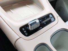 Geely Xing Yuan 310km Dream Edition - ფოტო 13