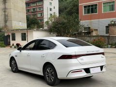 BYD Qin Plus EV 600KM Flagship - фото 7