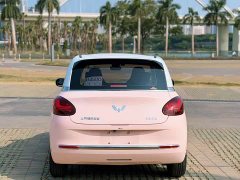Wuling Binguo 410km Lingxi Premium Edition - ფოტო 5