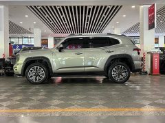 Haval Big Dog PLUS New Energy Hi4 102km Trendy Electric Edition Plus - фото 3