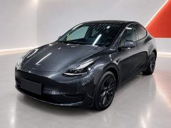 Tesla Model Y Rear-Wheel Drive - ფოტო 1