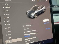 Tesla Model Y Rear-Wheel Drive - ფოტო 10