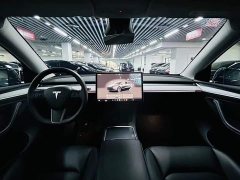 Tesla Model Y Rear-Wheel Drive - ფოტო 8