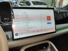 BYD Sealion 06 DM-i 205 Pilot Pro - photo 13