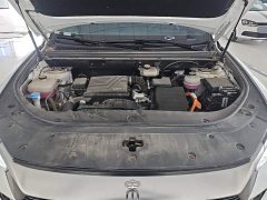 BYD Song Pro New Energy DM-i 71KM Glory Edition Pilot - ფოტო 10