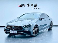 Mercedes-Benz CLS 300 Luxury - photo 1