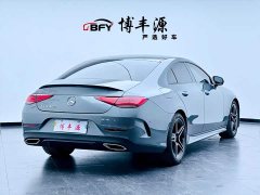 Mercedes-Benz CLS 300 Luxury - photo 3