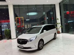 Buick GL8 ES Land Respect 653T Respect Enjoyment Edition - ფოტო 1