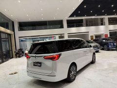 Buick GL8 ES Land Respect 653T Respect Enjoyment Edition - ფოტო 17