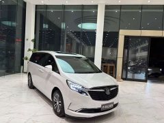 Buick GL8 ES Land Respect 653T Respect Enjoyment Edition - ფოტო 3