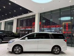 Buick GL8 ES Land Respect 653T Respect Enjoyment Edition - ფოტო 4