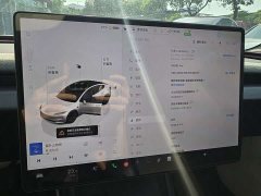 Tesla Model 3 Long Range All-Wheel Drive - ფოტო 11