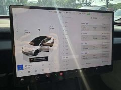 Tesla Model 3 Long Range All-Wheel Drive - ფოტო 12