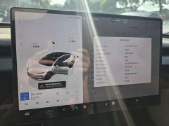 Tesla Model 3 Long Range All-Wheel Drive - ფოტო 13